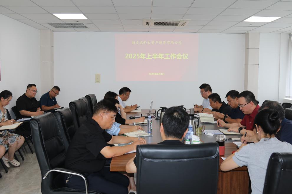 公司召开2025年上半年经营工作会议