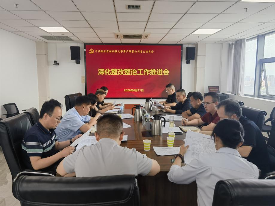 公司召开深化整改整治工作推进会
